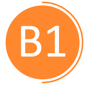 Langue Française niveau B1